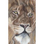 Will Smith - Portrait of a lion, watercolour, monogrammed, mounted, framed and glazed, 41cm x 25.5cm