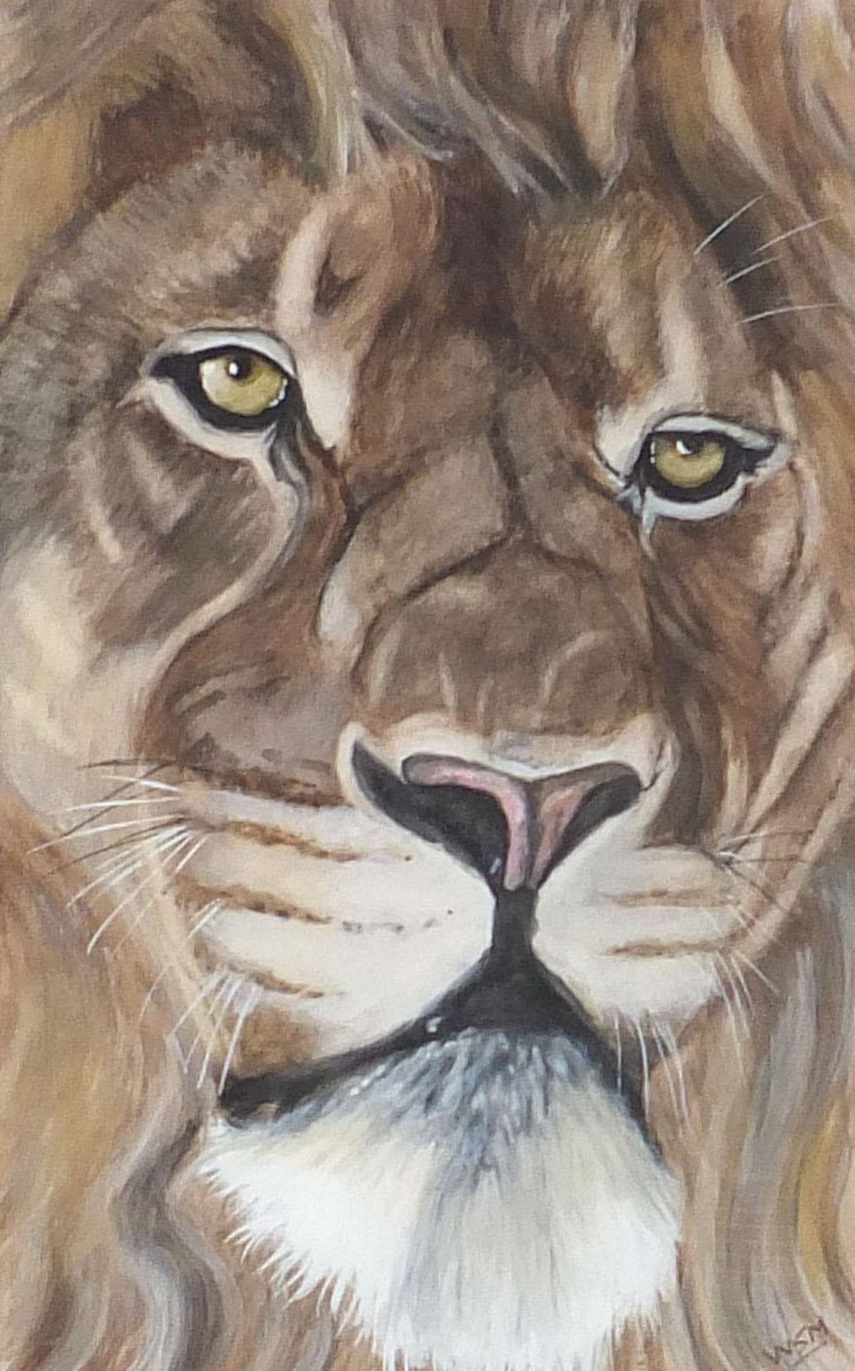 Will Smith - Portrait of a lion, watercolour, monogrammed, mounted, framed and glazed, 41cm x 25.5cm