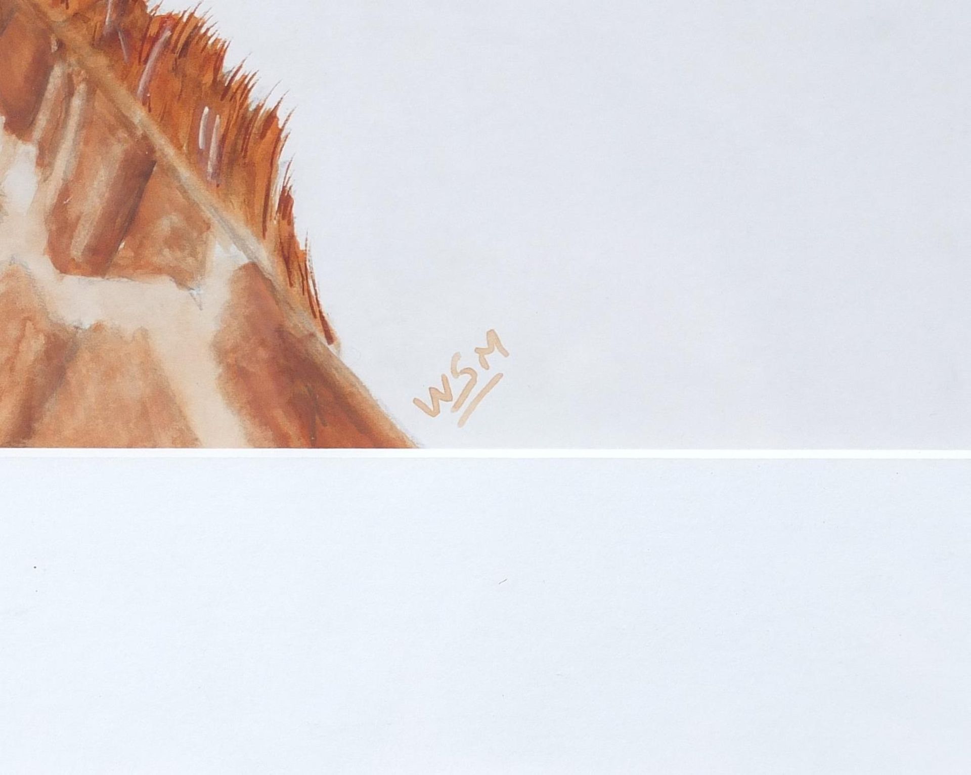 Will Smith - Portrait of a giraffe, watercolour, monogrammed, mounted, framed and glazed, 46.5cm x - Image 3 of 4