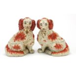 Large pair of Staffordshire style Spaniels, each 29cm high : For Further Condition Reports Please