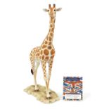 Large Sherratt & Simpson model of a standing giraffe with certificate numbered 26350, 42cm high :