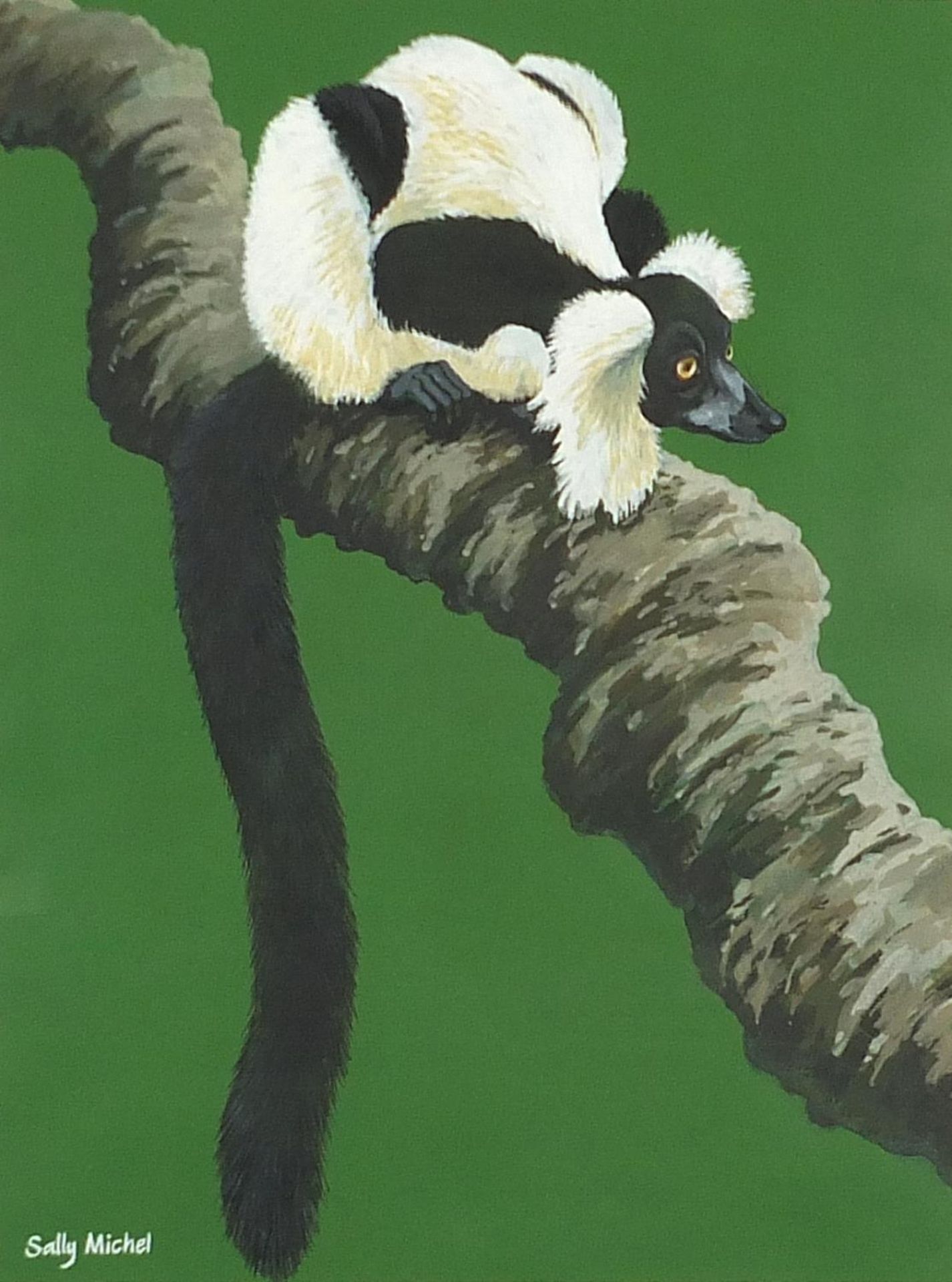 Sally Michel SWLA - Black and white ruffed lemur, signed gouache, exhibition label verso, mounted,