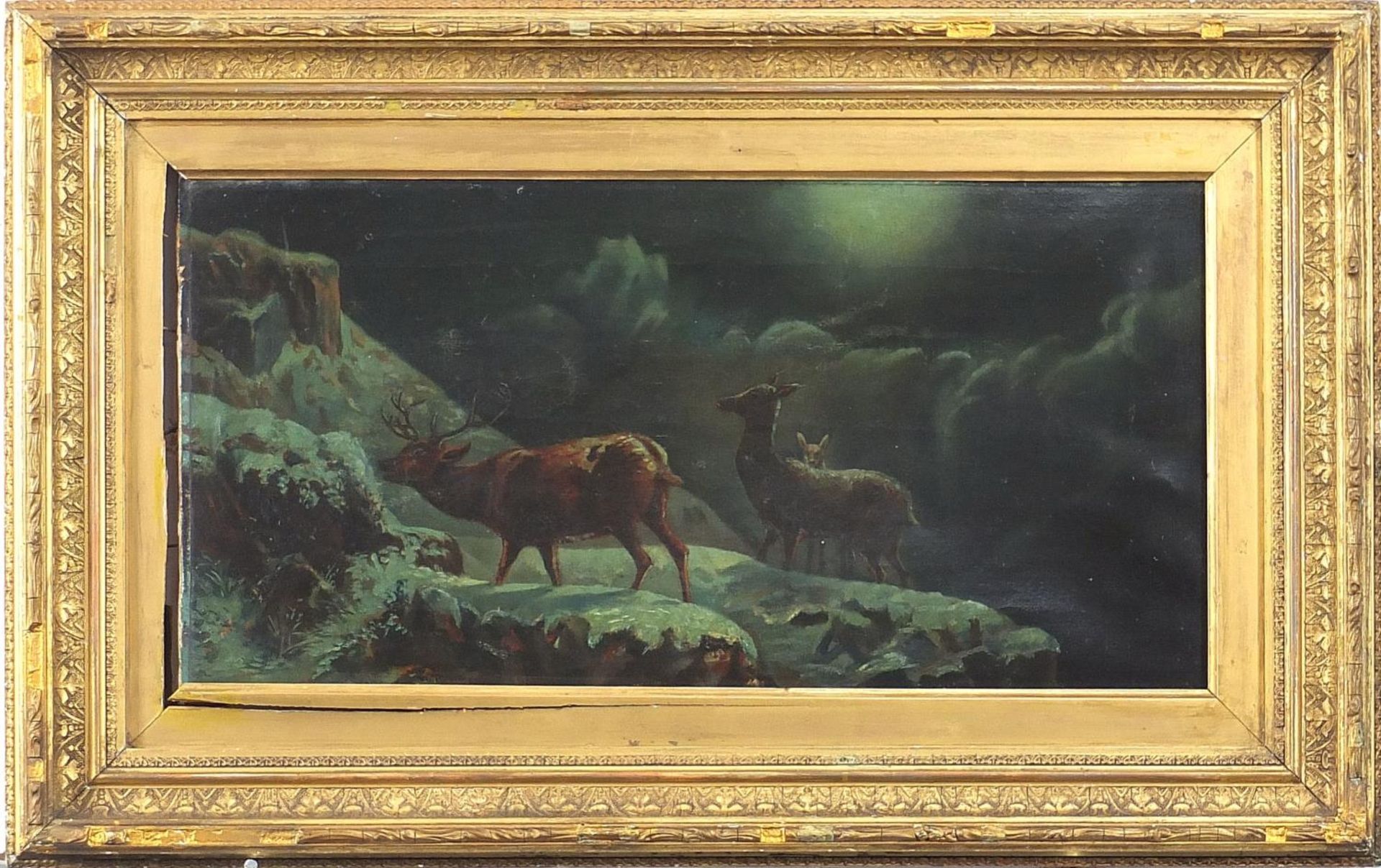 M Moore - Stag and two hinds by moonlight, signed oil on canvas, James Magill label verso, mounted - Bild 2 aus 6