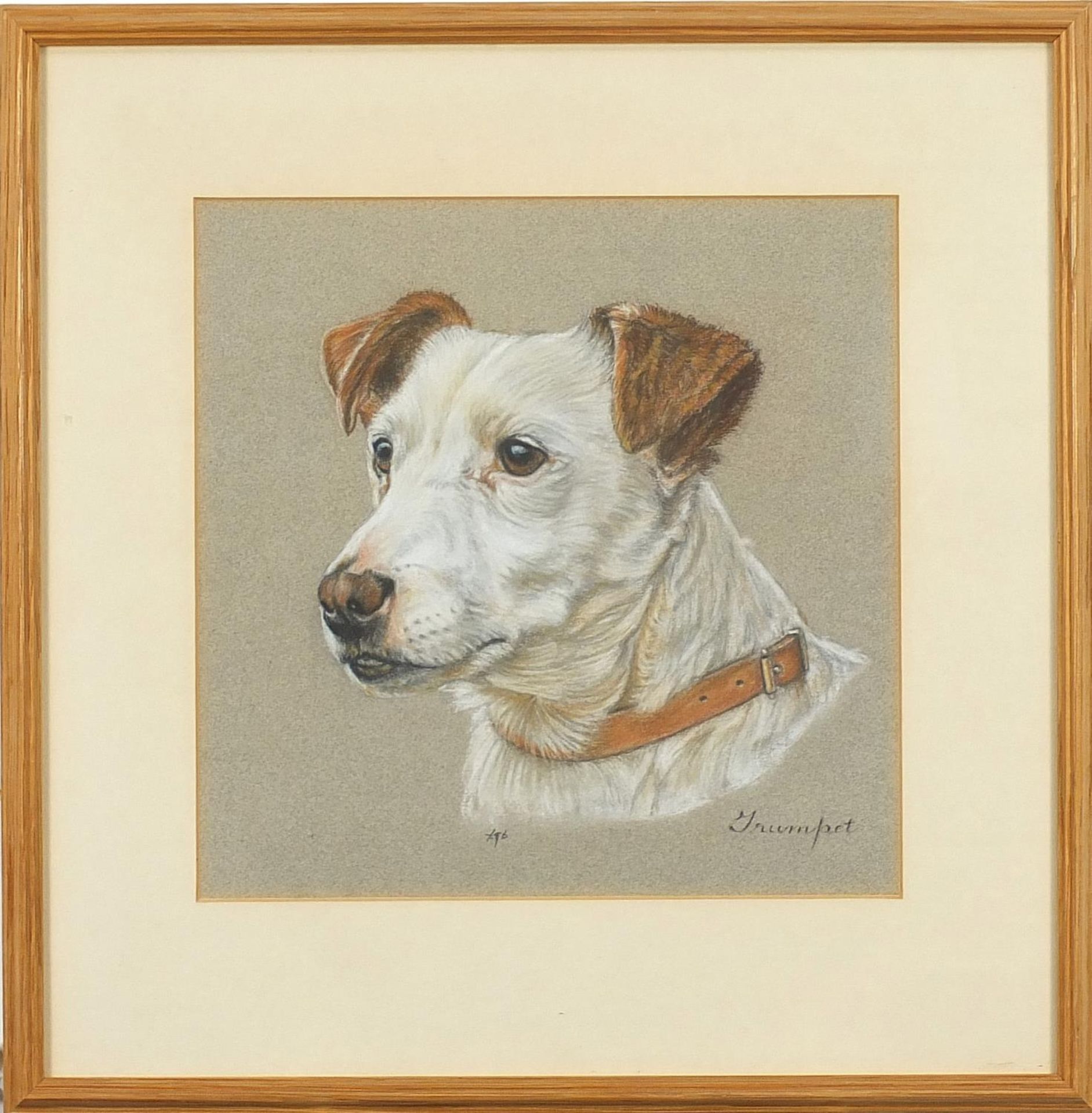 Portrait of a Terrier, pastel, mounted, framed and glazed, 24.5cm x 24.5cm excluding the mount and - Image 2 of 5