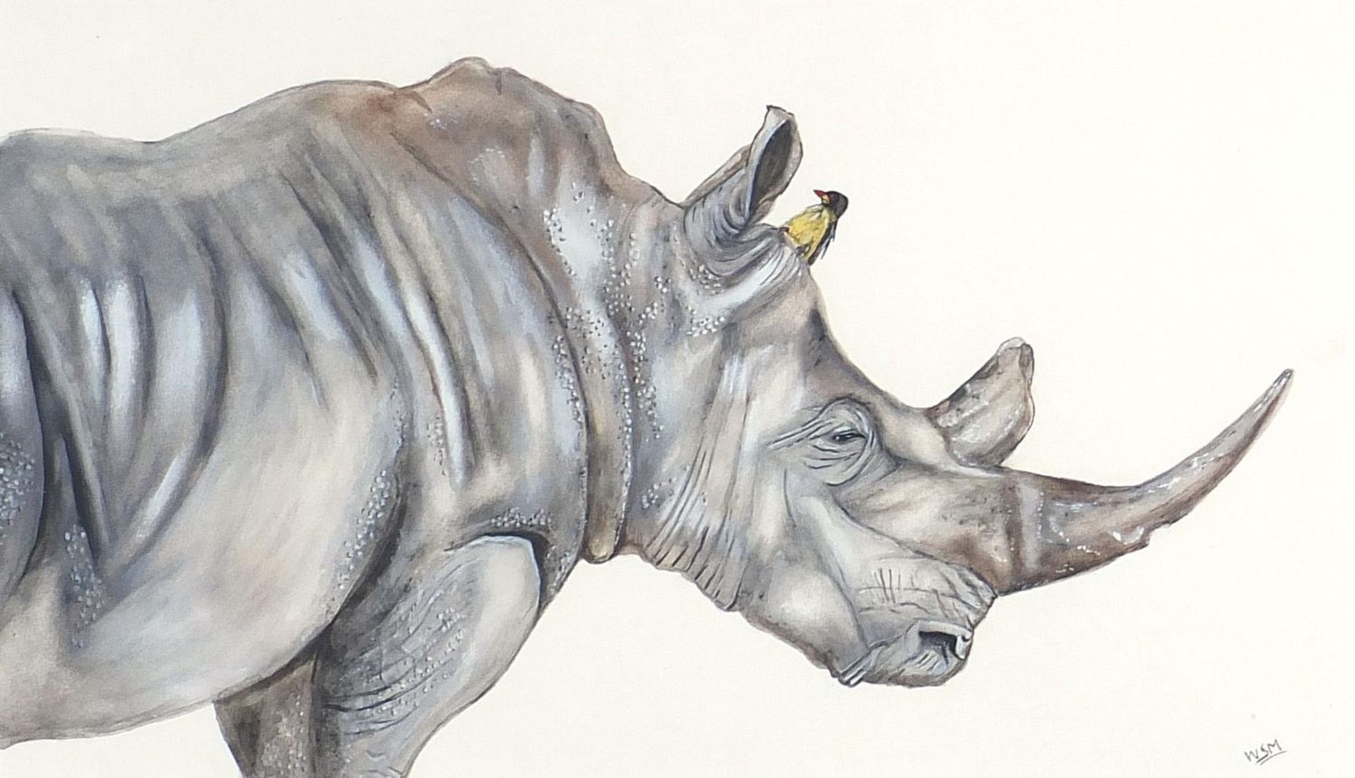 Will Smith - Rhinoceros and bird, watercolour, monogrammed, mounted, framed and glazed, 56cm x 32.