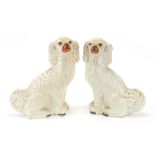 Pair of Victorian Staffordshire pottery seated Spaniels, each 32cm high : For Further Condition