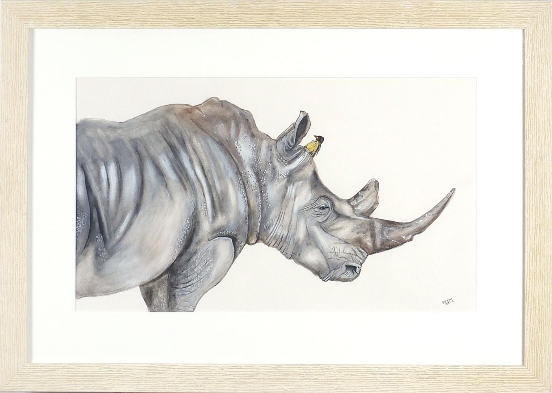 Will Smith - Rhinoceros and bird, watercolour, monogrammed, mounted, framed and glazed, 56cm x 32. - Image 2 of 4