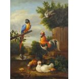 Exotic birds before a landscape, Old Master style oil on board, mounted and framed, 39cm x 29cm