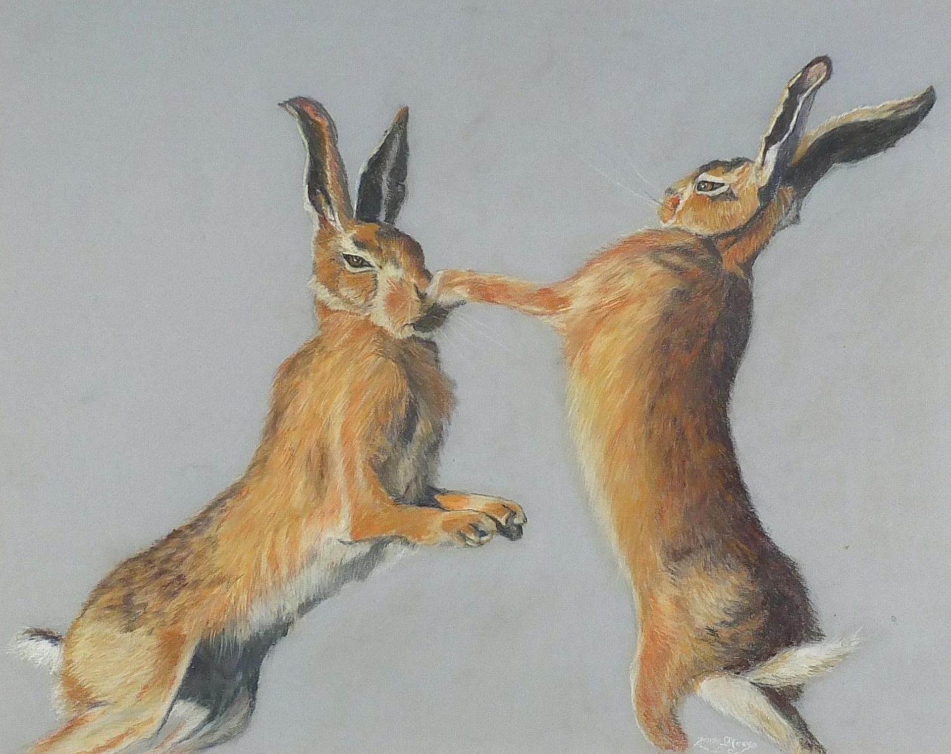 Linda S Brown - Spring Fisticuffs, pastel, mounted, framed and glazed, 46cm x 36.5cm excluding the