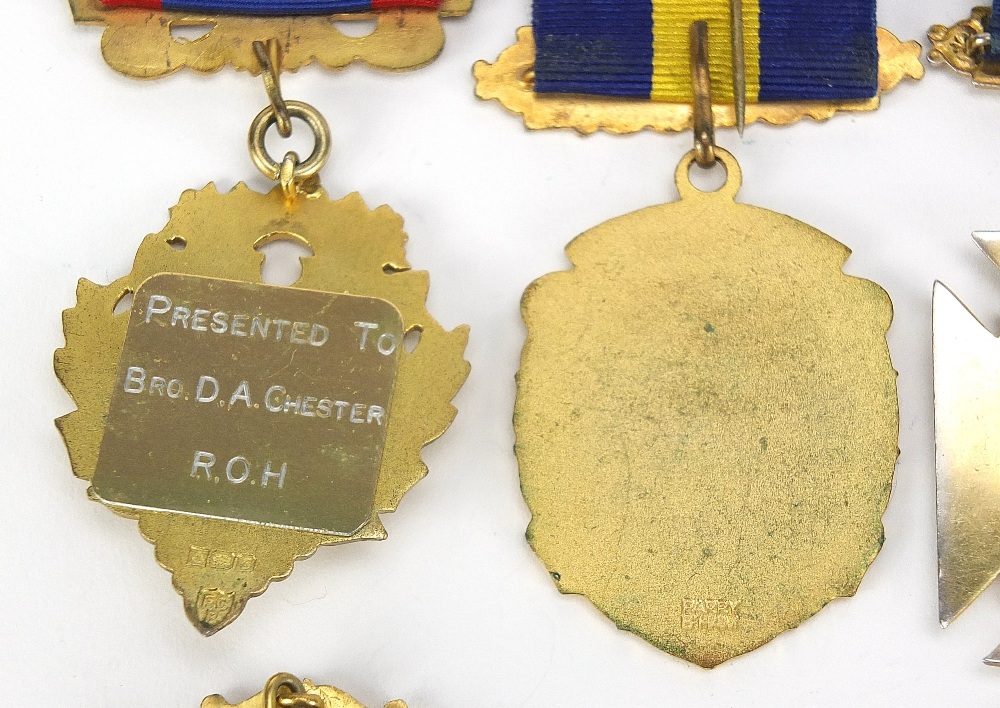 Royal Order of Buffalos regalia including silver and enamel jewels and a sash : For Further - Image 6 of 12