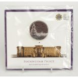 Elizabeth II 2015 one hundred pound fine silver coin by the Royal Mint commemorating Buckingham