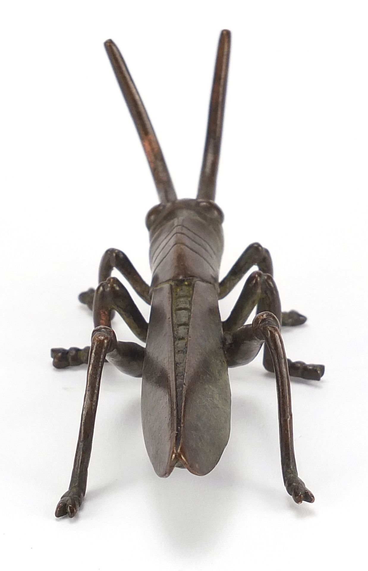 Large Japanese patinated bronze locust, 11cm in length : For Further Condition Reports Please - Bild 4 aus 7