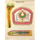 German canvas backed educational wall hanging diagram titled Regenwurm, 112cm x 81cm : For Further