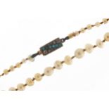 Antique graduated pearl necklace with 9ct gold, diamond and turquoise clasp, housed in a tooled