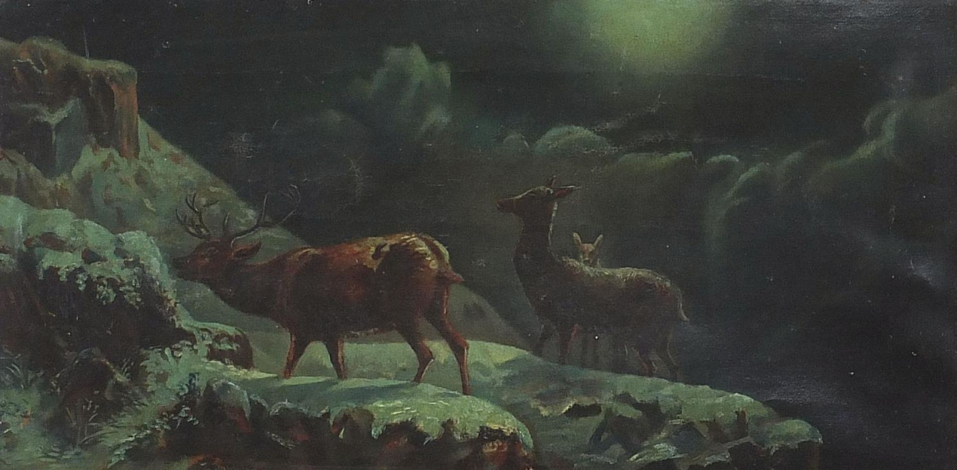 M Moore - Stag and two hinds by moonlight, signed oil on canvas, James Magill label verso, mounted