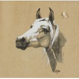 Terry Logan - Horsehead, watercolour heightened in white, details verso, mounted, framed and glazed,