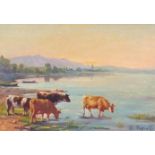 Cows beside water, continental school oil on board, indistinctly signed, possibly D Petrott,