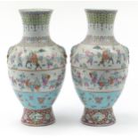 Large pair of Chinese porcelain vases with animalia ring turned handles, each hand painted in the