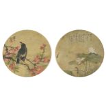 Birds of paradise amongst flowers, two Chinese circular watercolours on silk, each with character