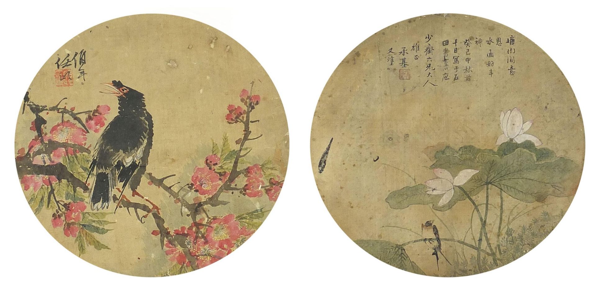 Birds of paradise amongst flowers, two Chinese circular watercolours on silk, each with character