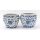 Pair of Chinese blue and white porcelain jardinieres hand painted with flowers, each 29cm high x