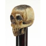 Ebony walking stick with carved bone the pommel in the form of a skull, the cane 90cm in length
