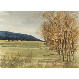 Robert Tavener - Rural landscape with trees, watercolour, mounted, framed and glazed, 45cm x 32.
