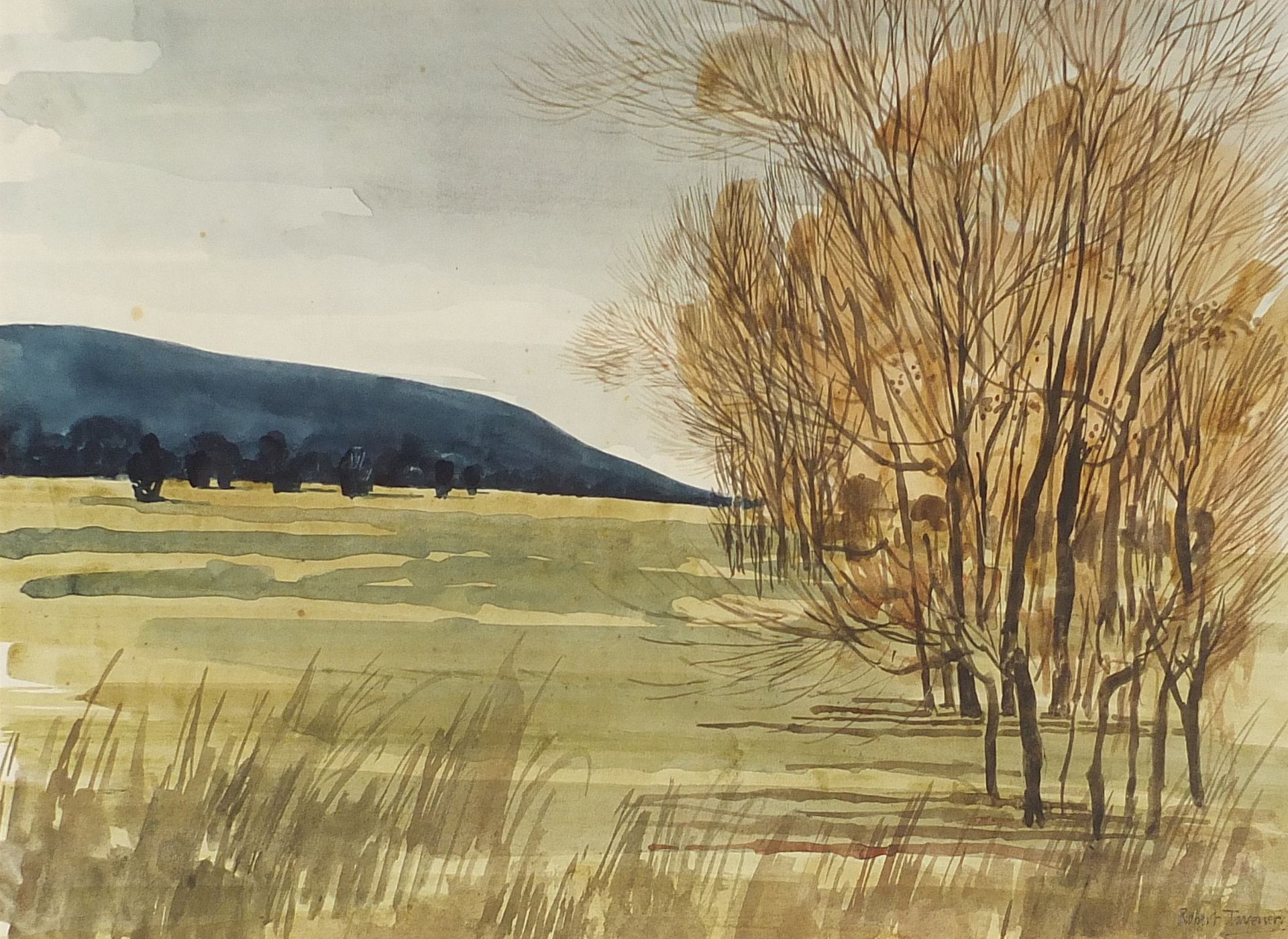 Robert Tavener - Rural landscape with trees, watercolour, mounted, framed and glazed, 45cm x 32.