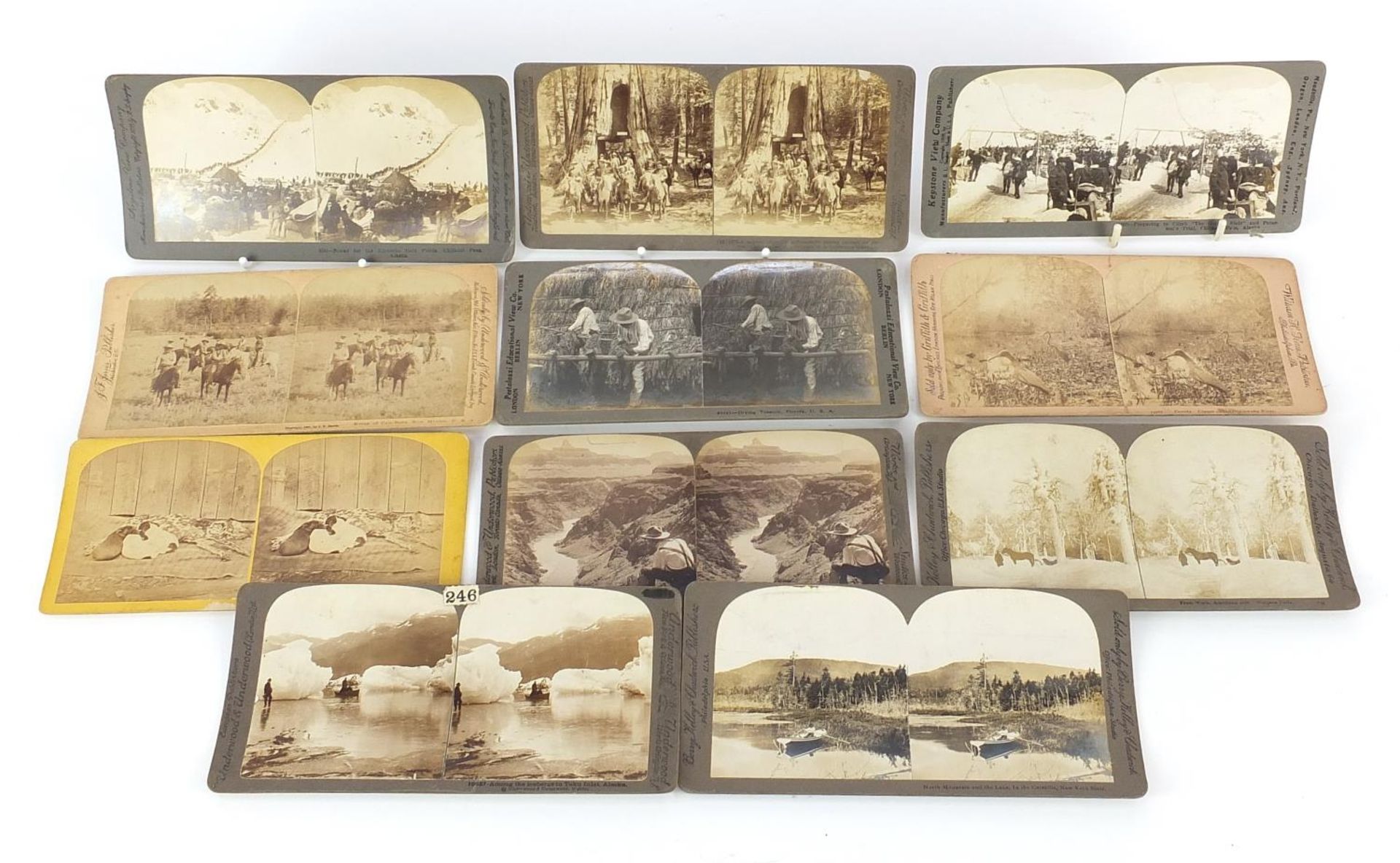 Eleven stereo cards relating to Americans in the 19th and early 20th century