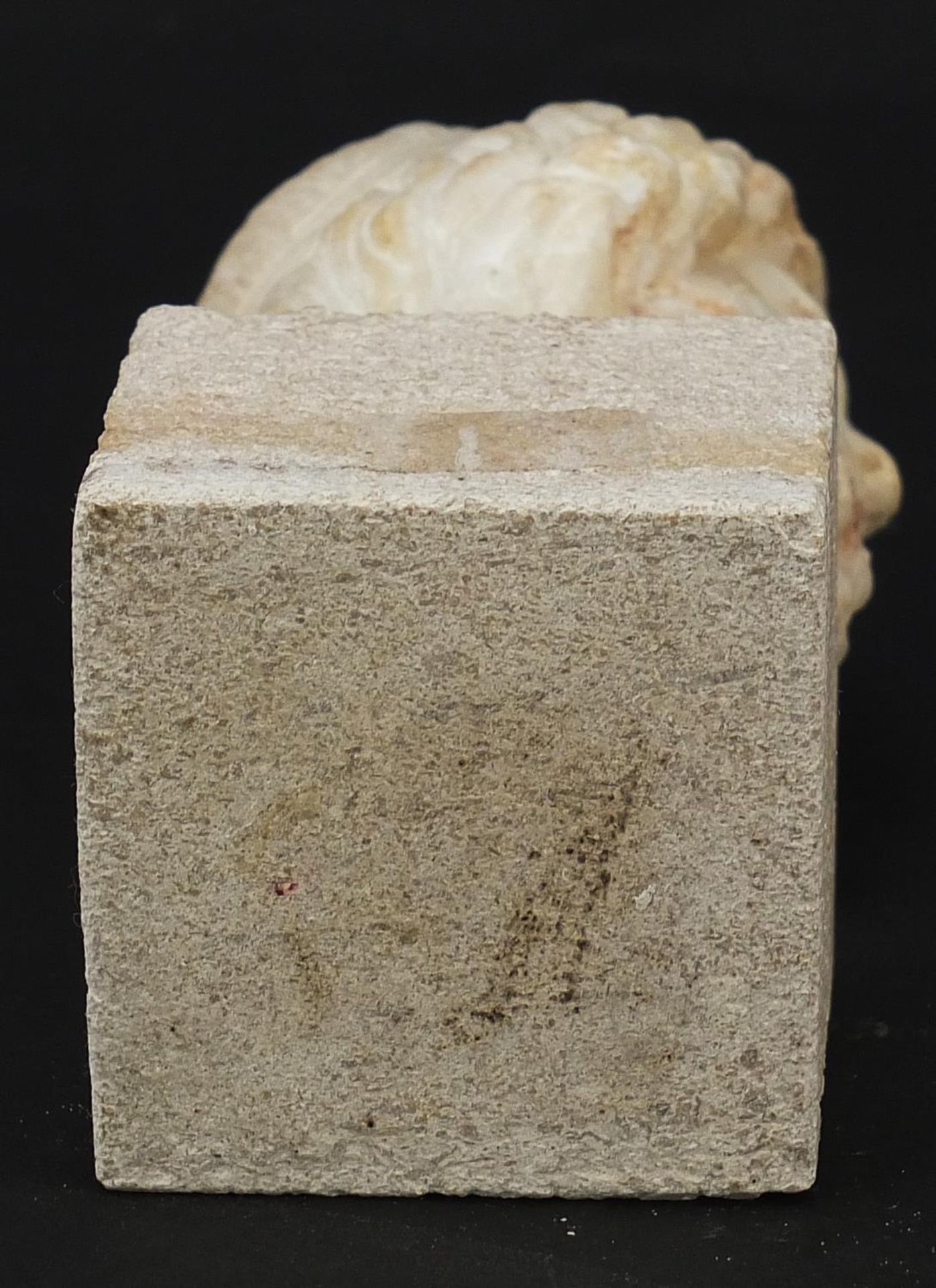 Antique carved white marble bust of a bearded man raised on a square block base, possibly Roman or - Image 3 of 3