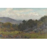 T Clinton Jones - Sheep before trees and hills, Welsh oil on canvas, mounted, framed and glazed,