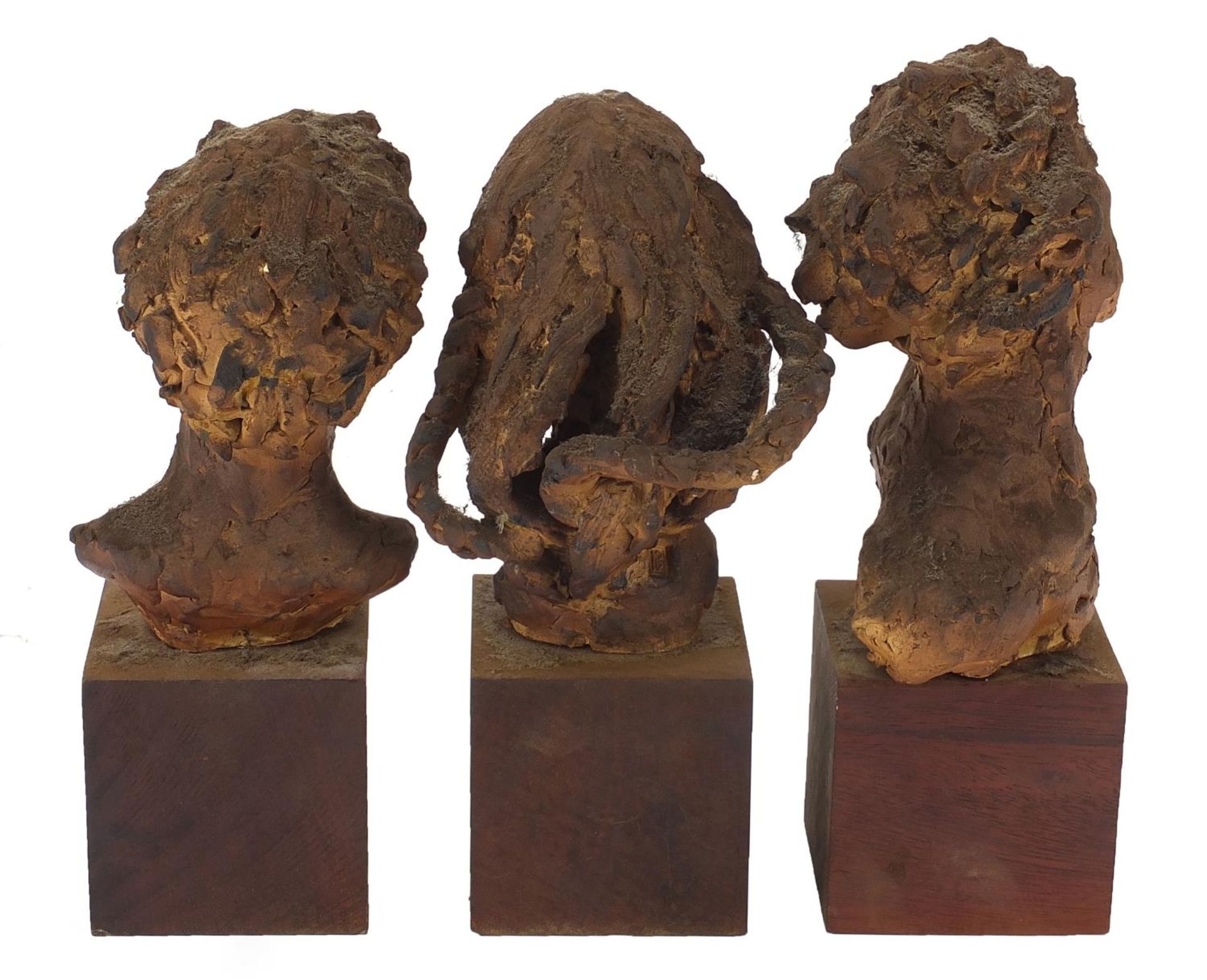 Three mid century pottery busts raised on wooden block bases, each inscribed Elizabeth Benenson to - Image 4 of 5