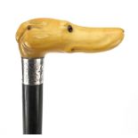 Ebony walking stick with carved ivory pommel in the form of a dog's head with glass eyes, 89cm in