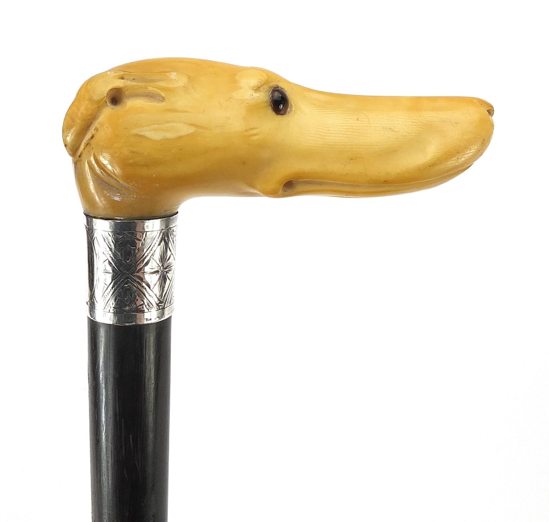 Ebony walking stick with carved ivory pommel in the form of a dog's head with glass eyes, 89cm in