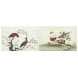 Birds of Paradise amongst trees and flowers, pair of Chinese watercolours on pith paper, Ritchie