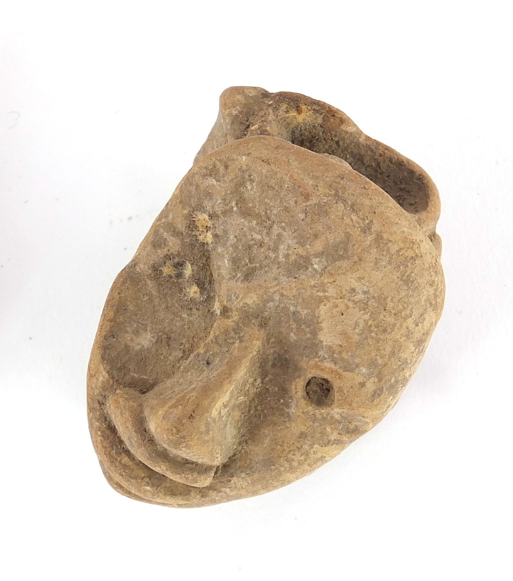 Stone antiquities including a marble carving of a bird and stone fragments, the largest 13cm high - Image 11 of 13