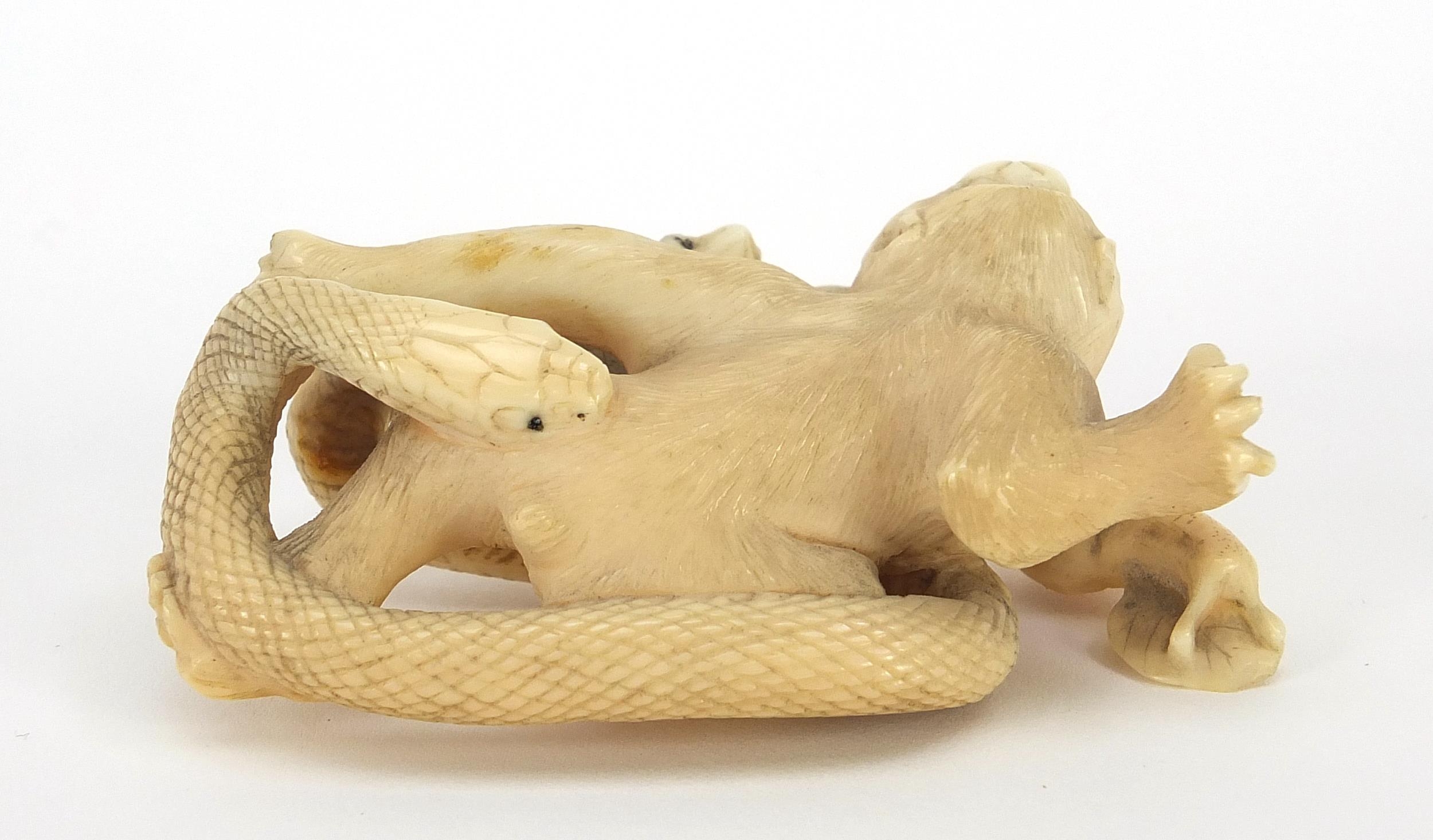 Japanese carved ivory okimono depicting monkeys, frogs and a snake, 8cm in length - Image 4 of 7