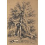 Henry Edridge 1815- Trees, early 19th century heightened pencil drawing, mounted, unframed, 46.5cm x