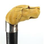 Ebony walking stick with carved ivory pommel in the form of a dog's head with glass eyes, 90cm in