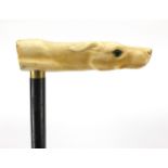 Ebony walking stick with carved ivory pommel in the form of a dog's head with green glass eyes, 90cm