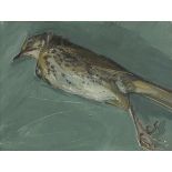 Dawn Sidoli '03- A young bird flew into our window, oil on board, mounted, framed and glazed, 28cm x