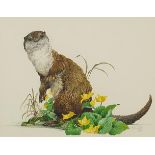 Ken Lilly - Study of an otter, 20th century signed watercolour, The Medici Society label verso,