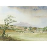 Robert Sulley - Ingleborough, watercolour, details verso, mounted, framed and glazed, 50cm x 35cm