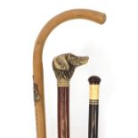 Three walking sticks including one with dog's head pommel and an exotic swagger stick with bone
