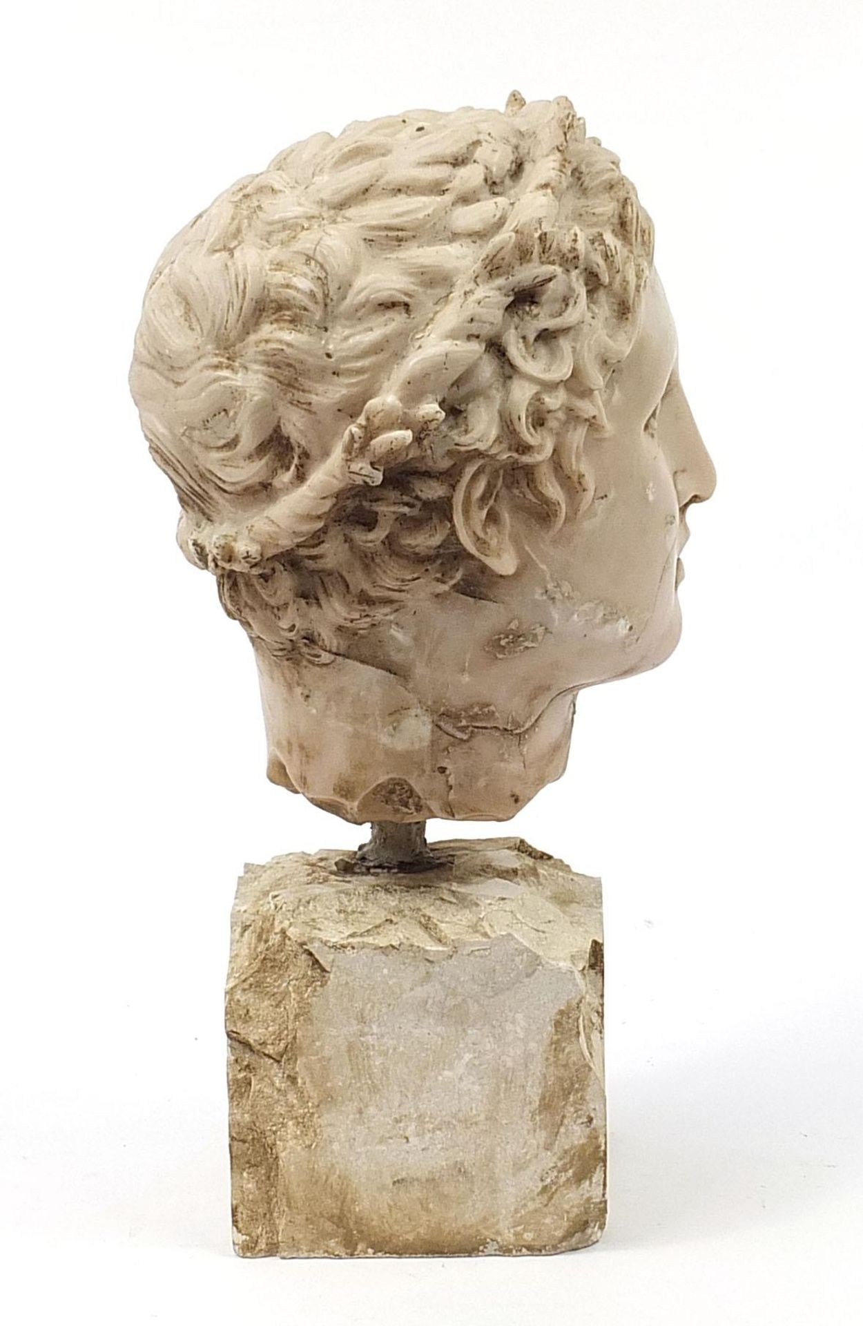 Roman style bust of a man, raised on a stone style base, 51.5cm high - Image 5 of 7