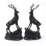 Pair of large patinated bronze stags raised on black marble bases, 41.5cm high