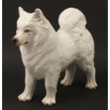 Large white pottery model of a Husky, 52cm high