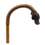 Bamboo walking stick with carved dog's head design handle, 83cm in length