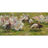 Marina Davidova - Turkeys, signed oil on canvas, inscribed verso, mounted and framed, 49cm x 24cm