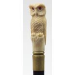 Hardwood walking stick with carved bone owl handle, 95cm in length